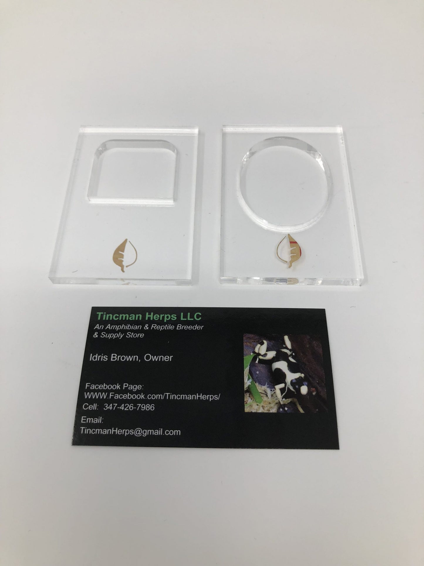 LED Mount (Fits all Screw in LEDs)