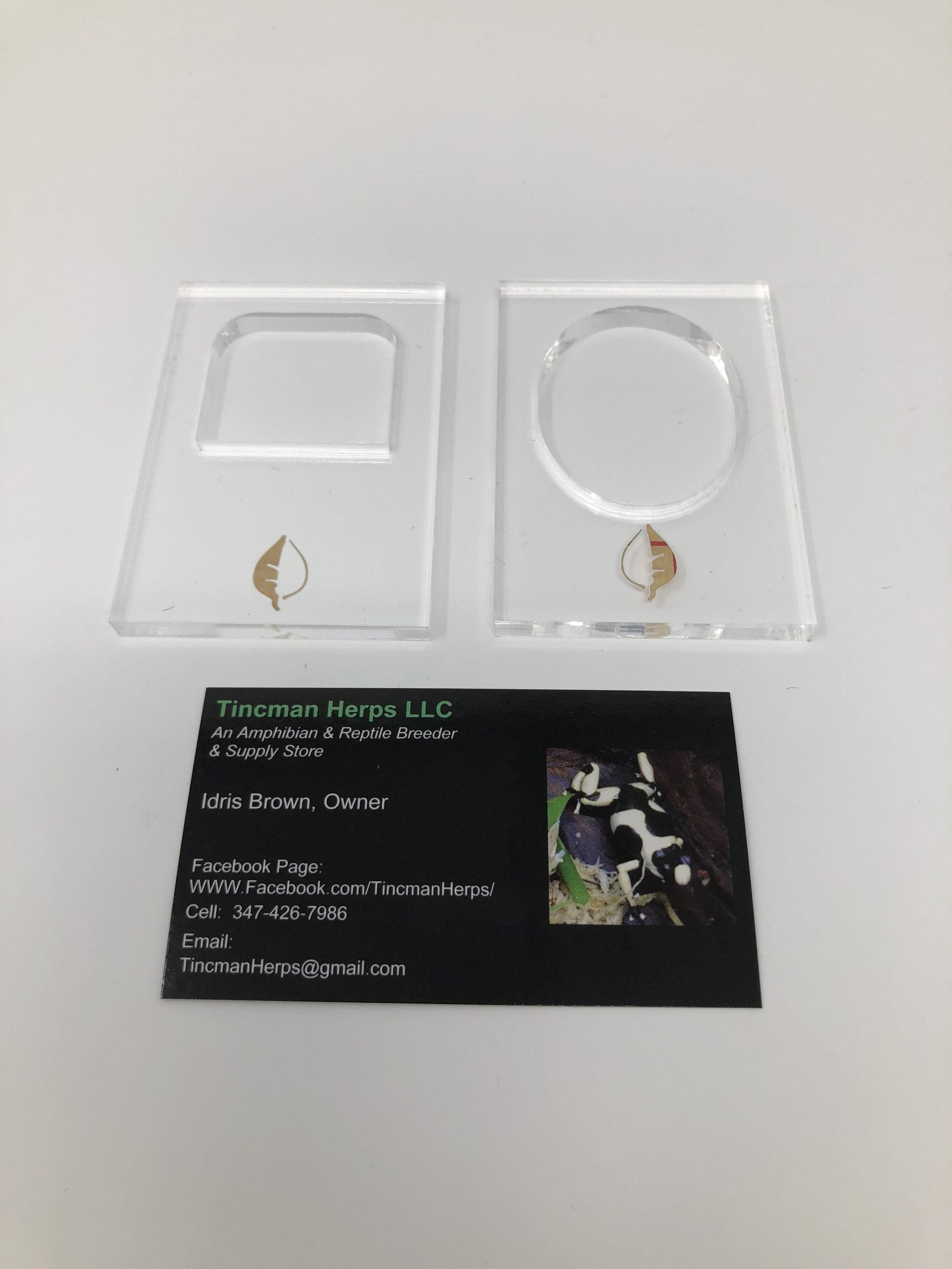 LED Mount (Fits all Screw in LEDs)